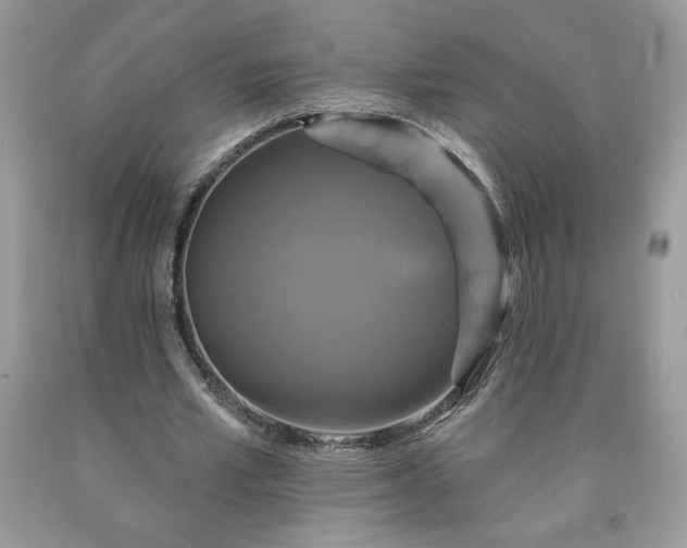 X0000091640581200709060940