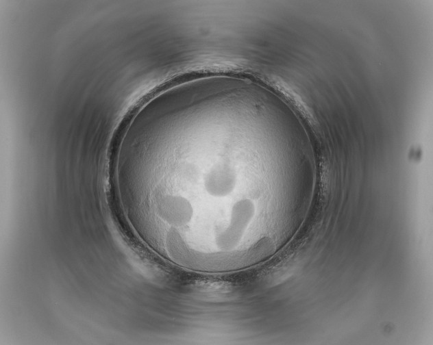 X0000091640582200709060939