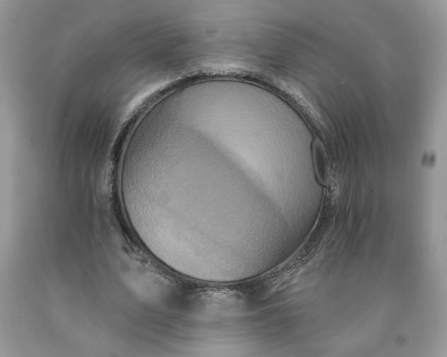 X0000091640583200709060939