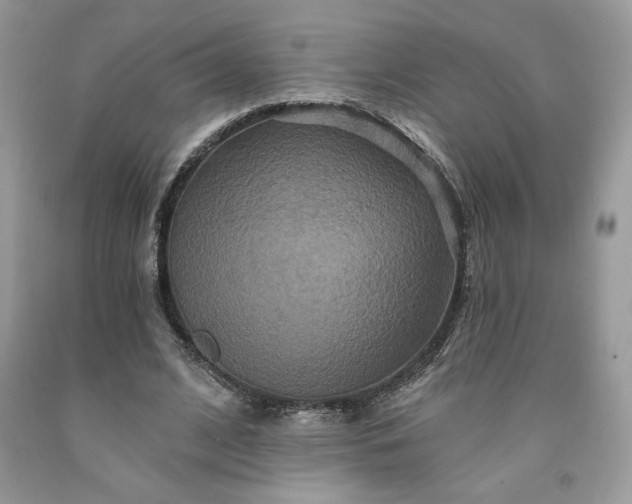 X0000091640584200709060939
