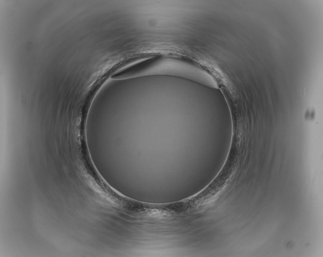 X0000091640585200709060939