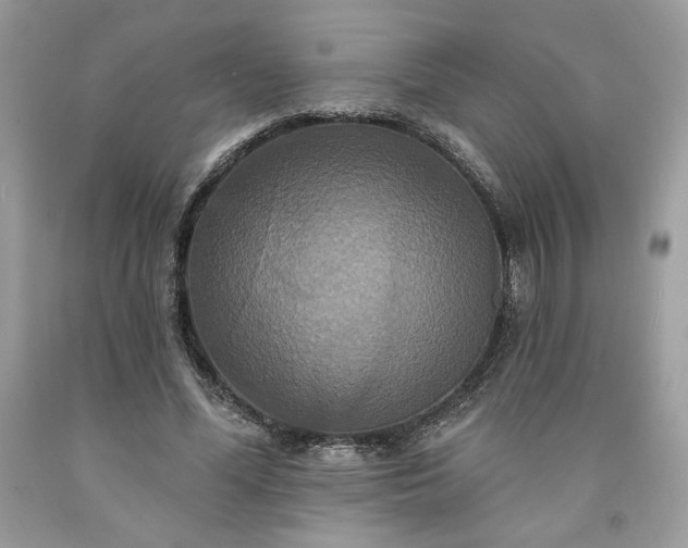 X0000091640588200709060939