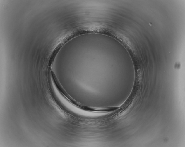 X0000091640589200709060939