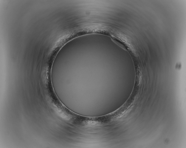 X0000091640590200709060939