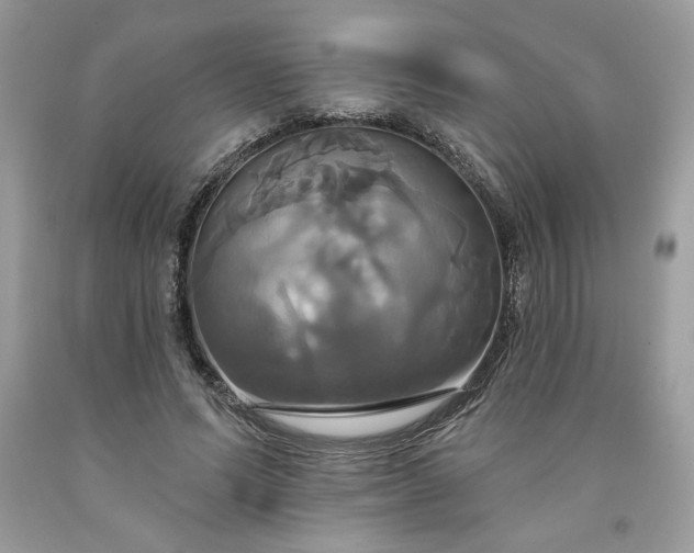 X0000091640591200709060939
