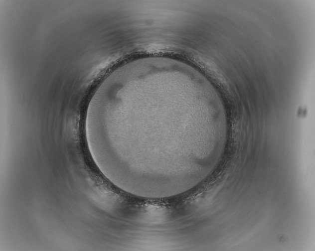 X0000091640592200709060939
