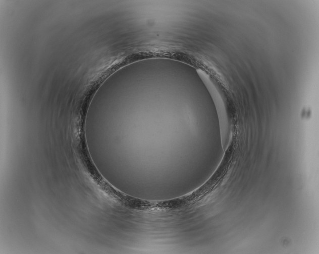 X0000091640593200709060939