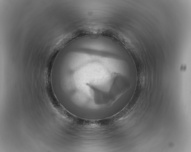 X0000091640594200709060939