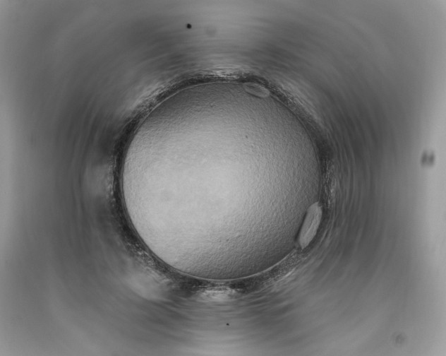 X0000091640595200709060939