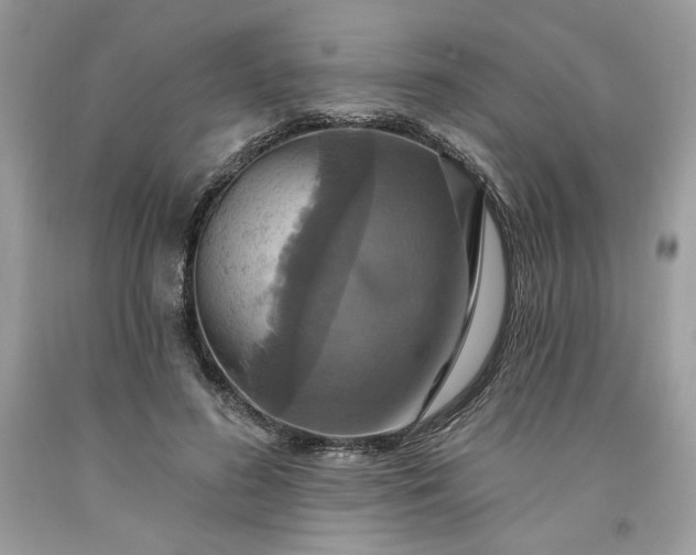 X0000091640596200709060939