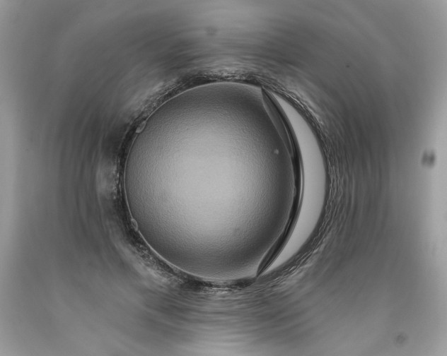 X0000091640597200709060939