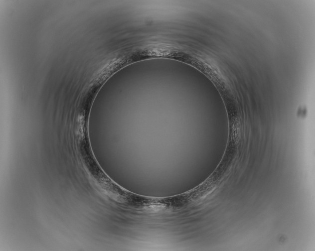 X0000091640598200709060939