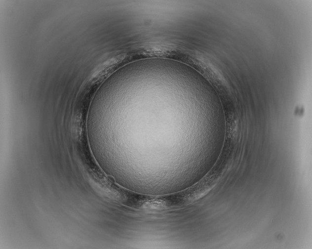 X0000091640599200709060939