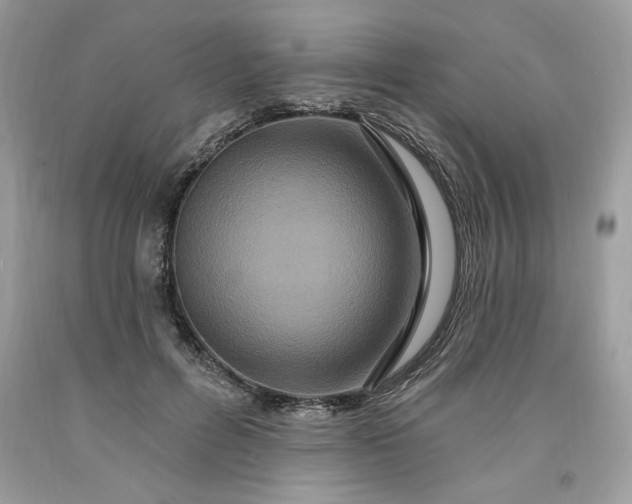 X0000091640600200709060939