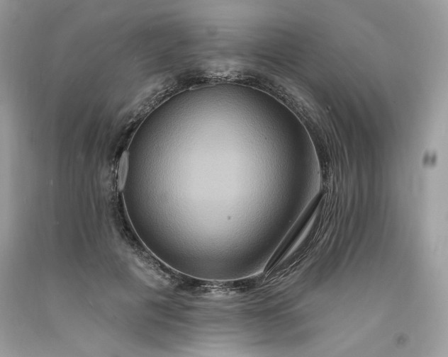 X0000091640601200709060939