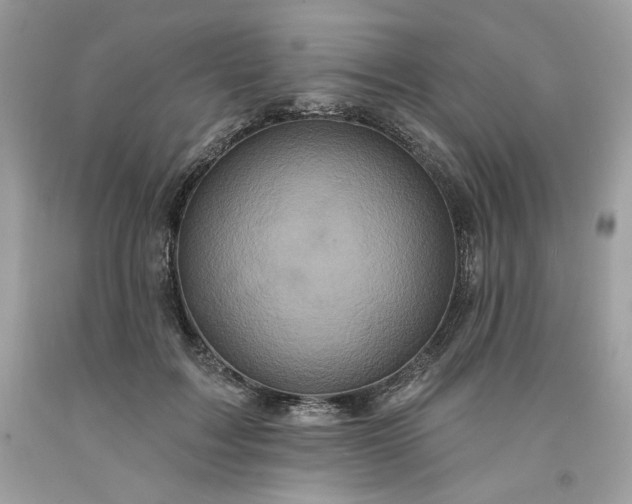 X0000091640603200709060939