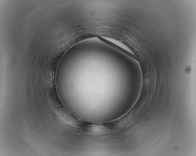X0000091640605200709060939