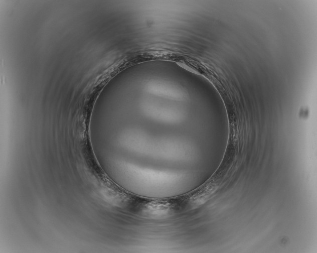 X0000091640606200709060939