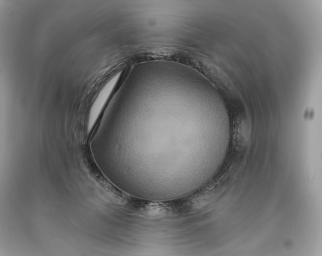 X0000091640608200709060939