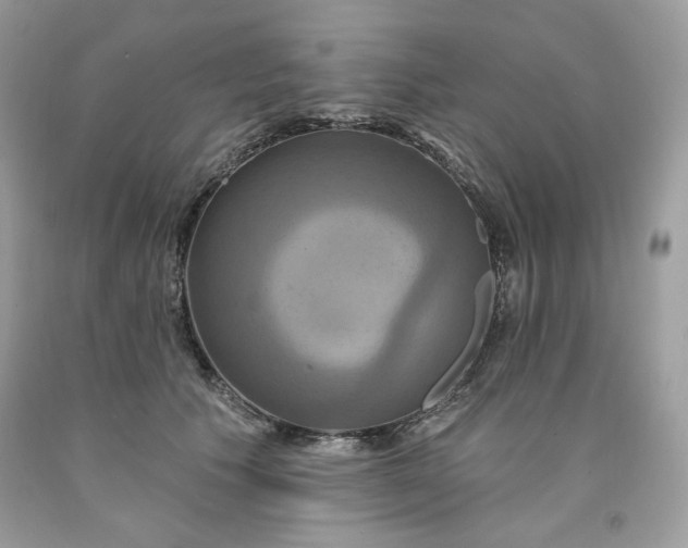 X0000091640609200709060939