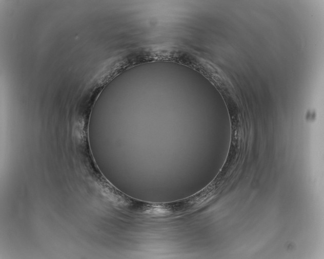 X0000091640610200709060939