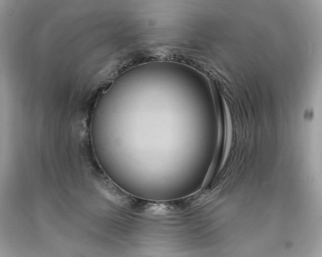 X0000091640611200709060939
