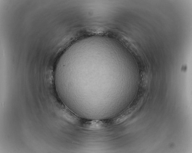 X0000091640612200709060939