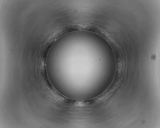 X0000091640613200709060939