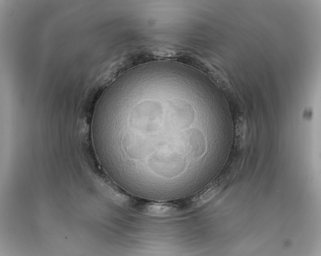 X0000091640614200709060939