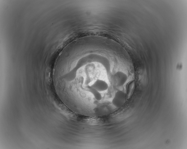 X0000091640615200709060939