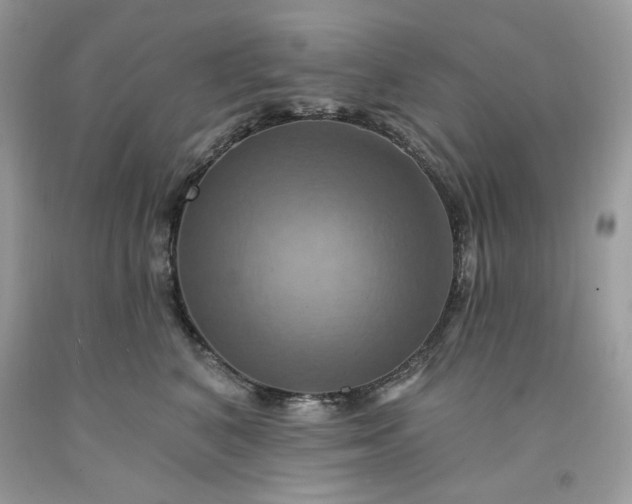 X0000091640616200709060939