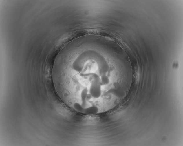 X0000091640619200709060939