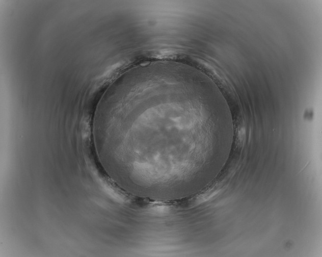 X0000091640620200709060939
