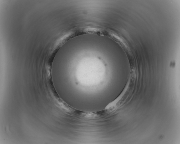 X0000091640621200709060939