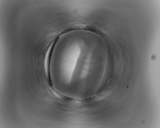X0000091640624200709060939