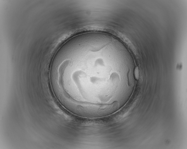 X0000091640625200709060938