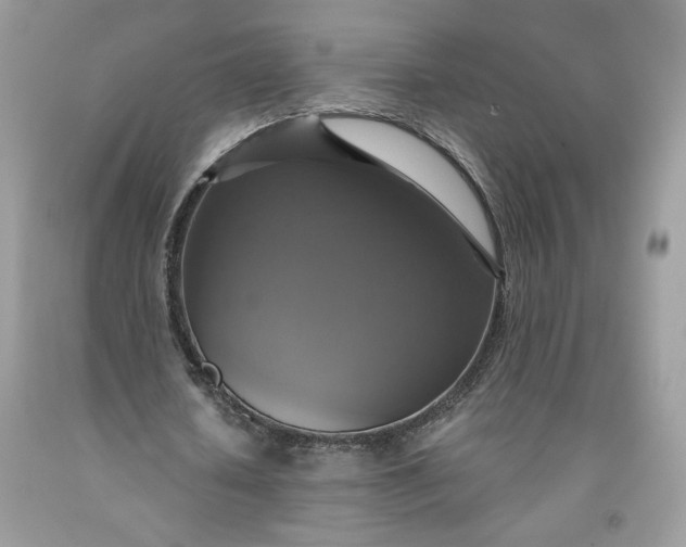 X0000091640626200709060938