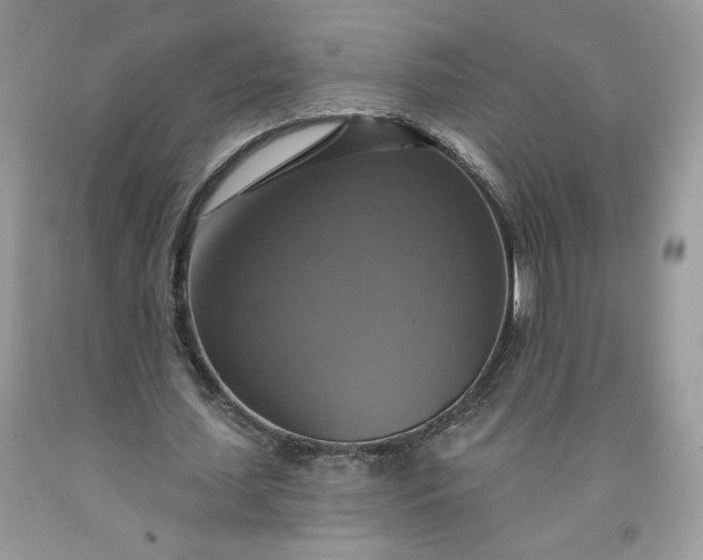 X0000091640627200709060938