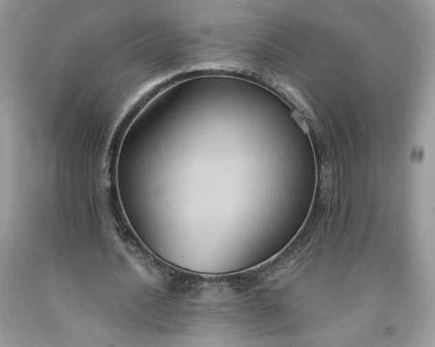 X0000091640628200709060938