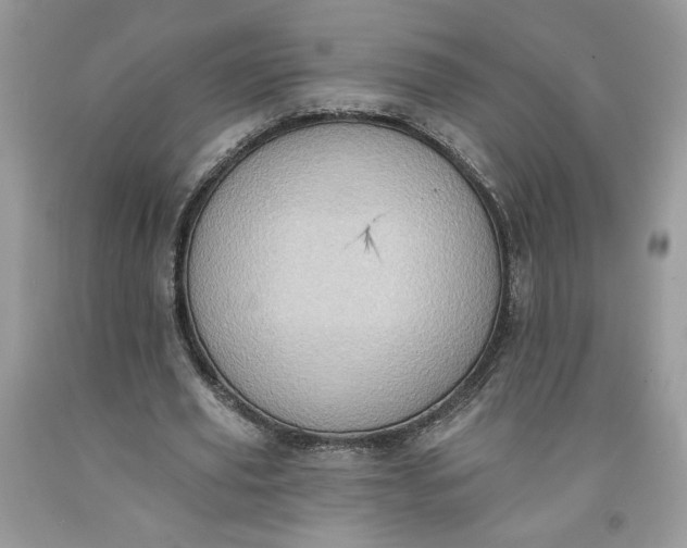 X0000091640629200709060938