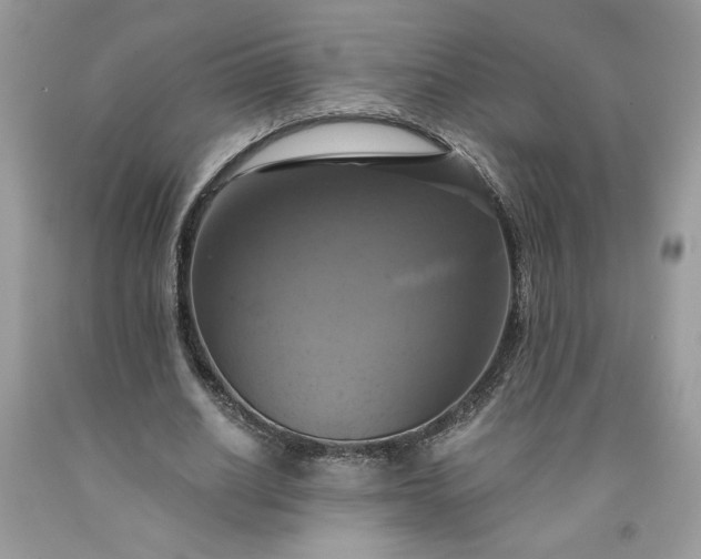 X0000091640630200709060938