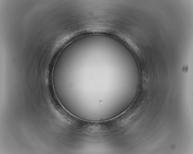 X0000091640631200709060938