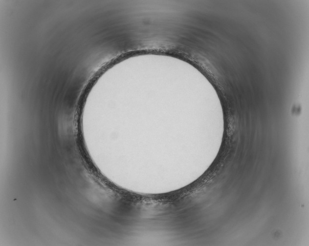 X0000091640632200709060938