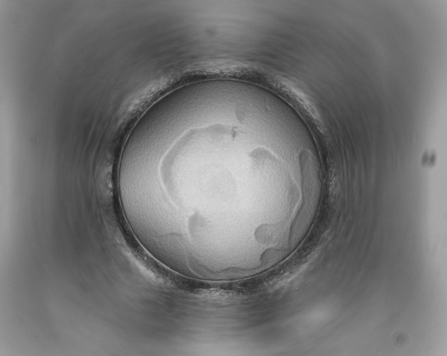 X0000091640633200709060938