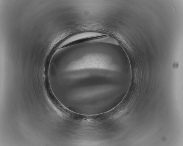 X0000091640634200709060938