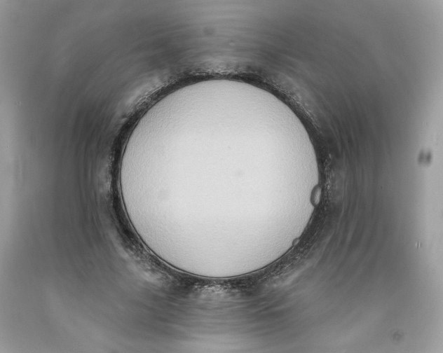 X0000091640635200709060938