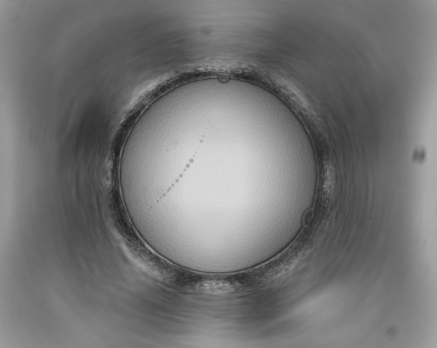 X0000091640636200709060938