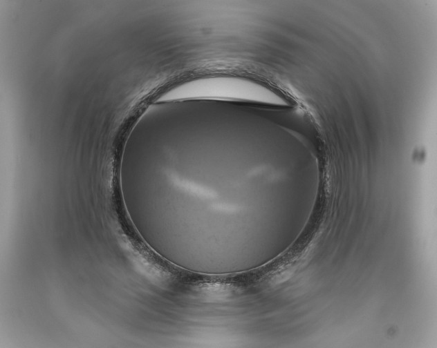 X0000091640637200709060938