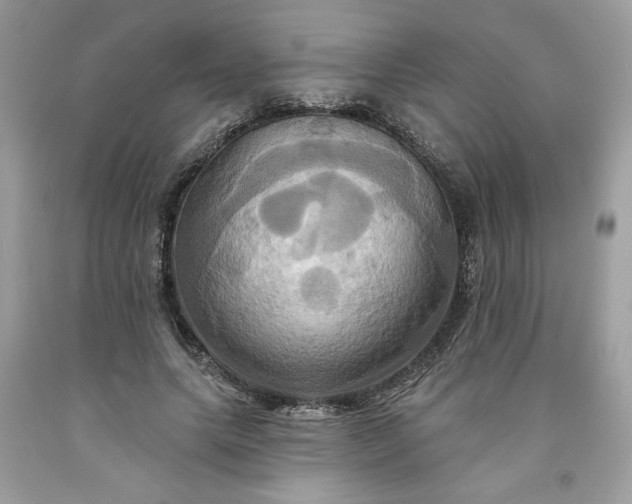 X0000091640639200709060938