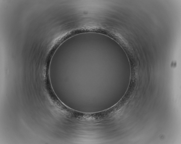 X0000091640640200709060938